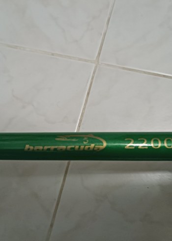 Olta Kamışı - Görsel 2