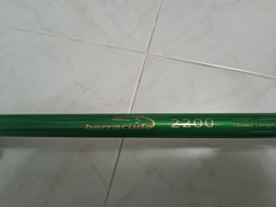 Olta Kamışı - Görsel 2