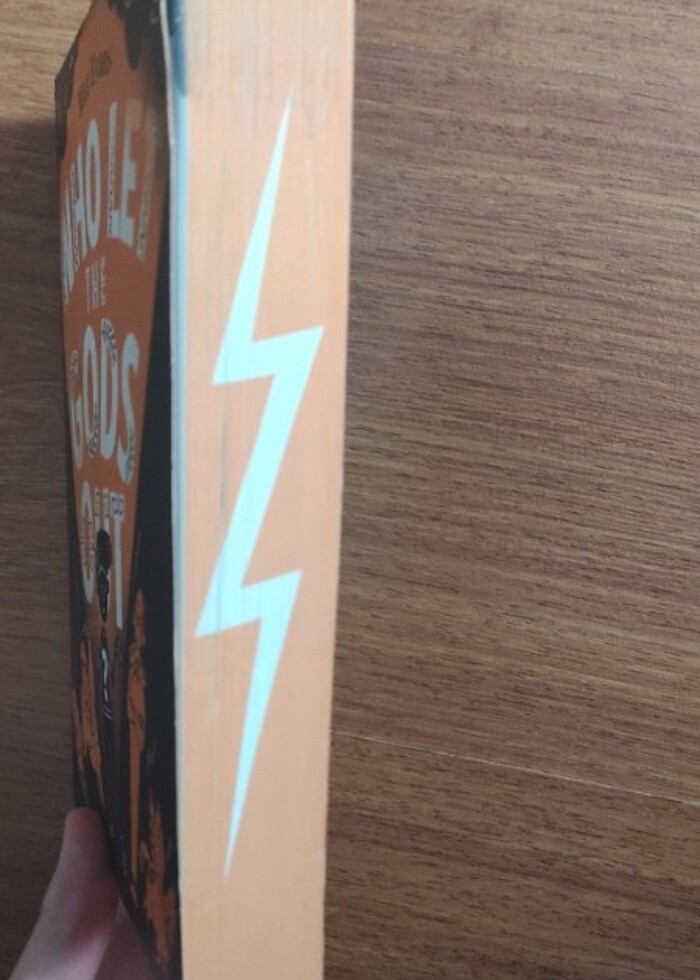 Who let the gods out ingilizce kitap - Görsel 2