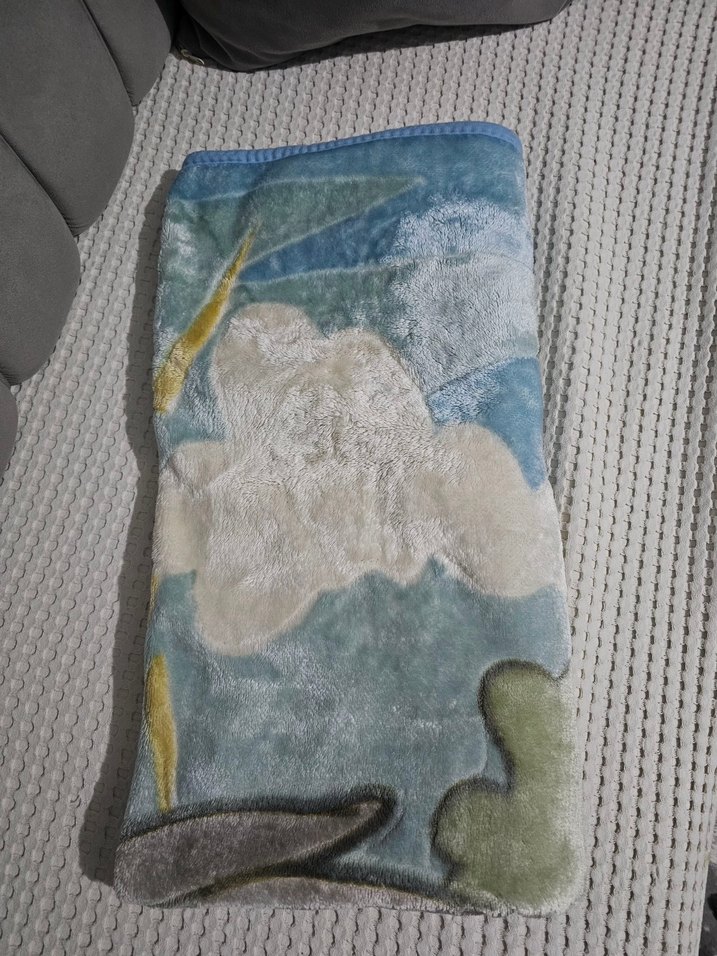 Çocuklar için Baskılı mavi Polar Battaniye - Görsel 2