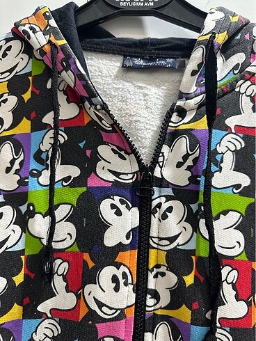 Walt Disney World Disneyland sweatshirt