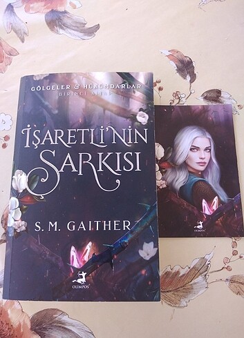 İşaretlinin şarkısı 
