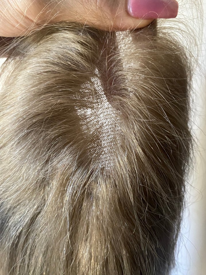 bebek kumralı gerçek saç tepelik - Görsel 3