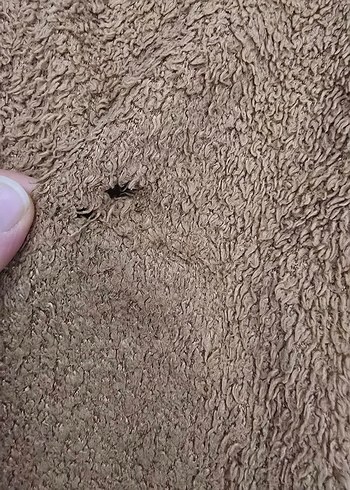 Kız Çocuk Kahverengi Kapüşonlu Sweatshirt ve Eşofman - Görsel 4