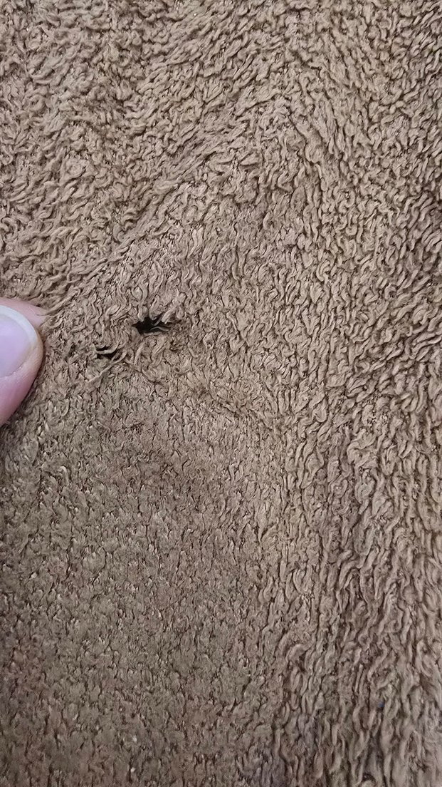 Kız Çocuk Kahverengi Kapüşonlu Sweatshirt ve Eşofman - Görsel 4