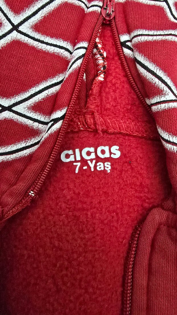 erkek Çocuk Kırmızı Fermuarlı Kapüşonlu Yelek - Görsel 4