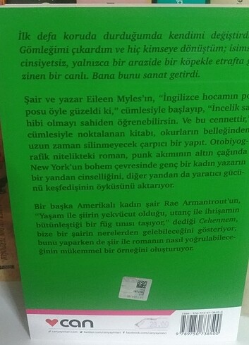 Cehennem Bir Şairin Romanı Eileen Myles