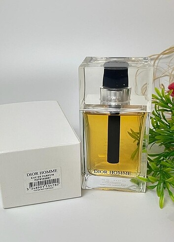 Dior homme