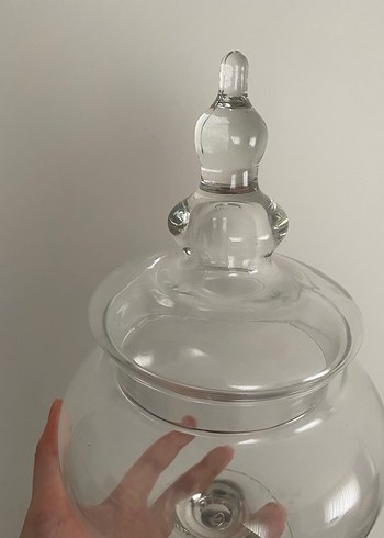 Şeffaf Cam Kapaklı Fanus - Görsel 2