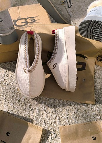 Ugg 38
