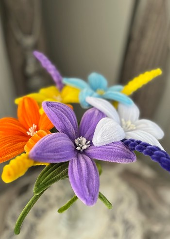 Kampanya (3 adet fıyat) - Görsel 2