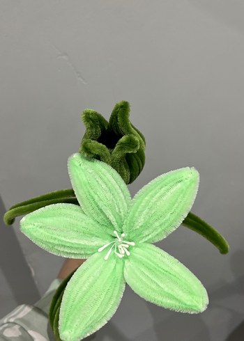 Şönil çiçek - Görsel 2