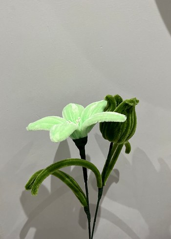 Şönil çiçek - Görsel 3