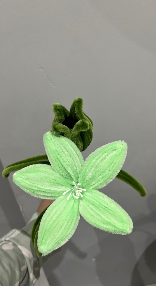 Şönil çiçek - Görsel 2