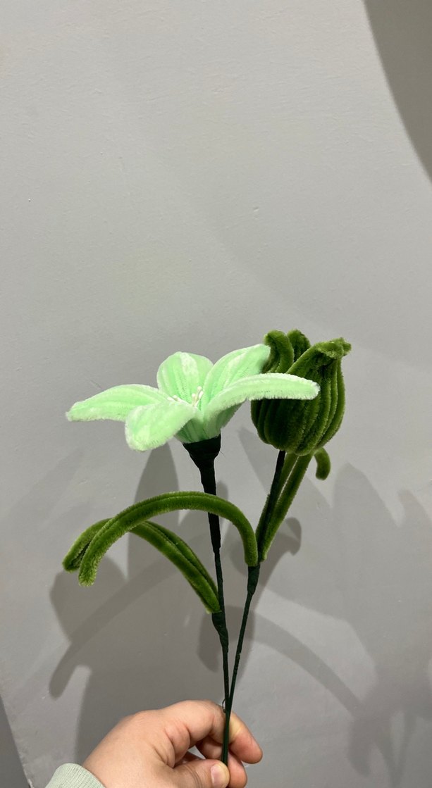 Şönil çiçek - Görsel 3