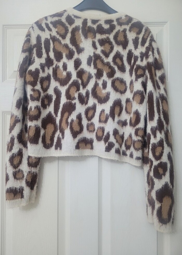 LEOPAR HIRKA - Görsel 4