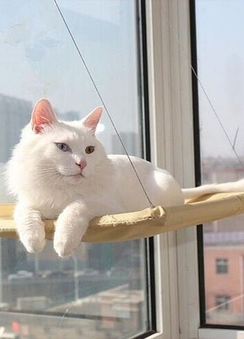 Cama Asılan Kedi Yatağı