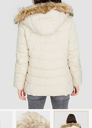 Stradivarius mont