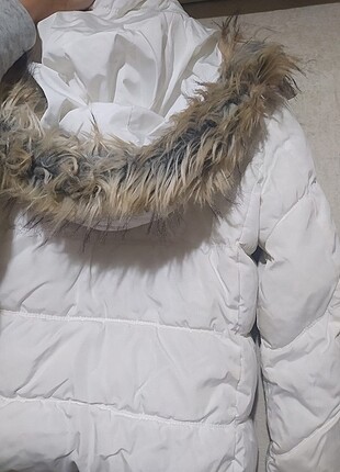 Mont 