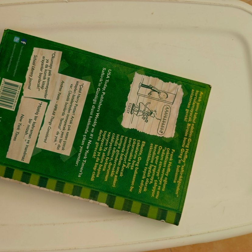 Saftirik Greg'in Günlüğü Türünün Son Örneği - Görsel 3
