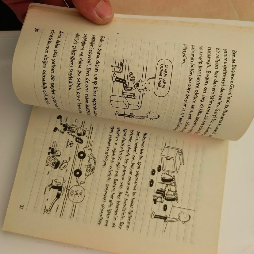 Saftirik Greg'in Günlüğü Türünün Son Örneği - Görsel 2