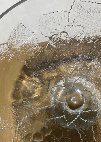 Desenli Cam Salata Kasesi - Görsel 4