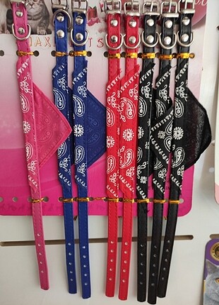Köpek tasması