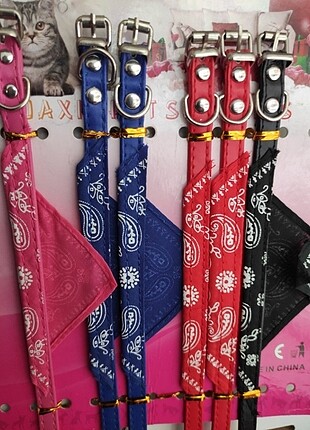 Köpek tasması 