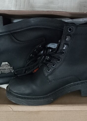37 Beden Harley Davidson Bot