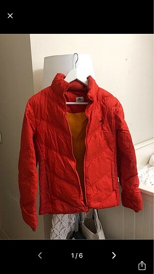Lacoste mont