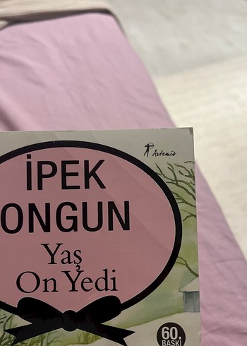Beden Renk İpek Ongun - Yaş On Yedi Romanı