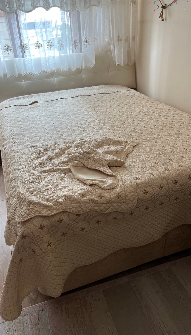 Nakışlı bej Yatak Örtüsü fiyat sonnnnn sormayın lütfen - Görsel 2