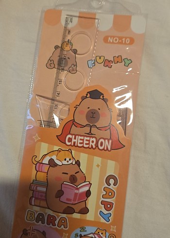 cetvel ve kalem - Görsel 2