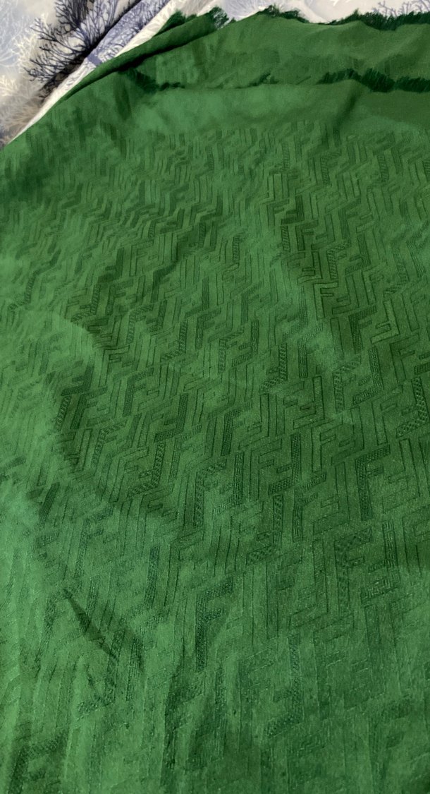 Parlak Yeşil fendi şal - Görsel 2
