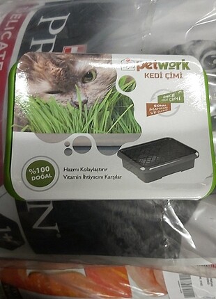 Trixie kedi cimi yesil