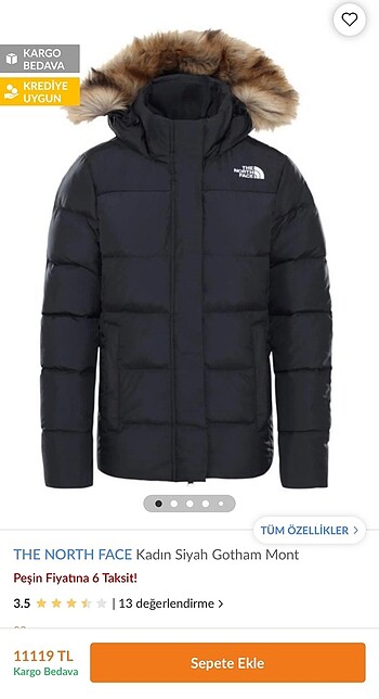 North Face The north face gotham mont
