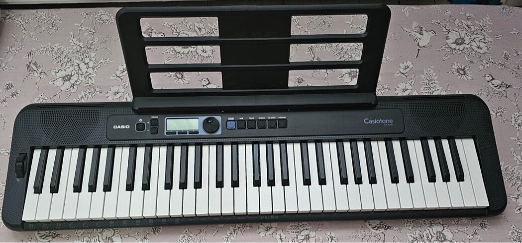 Casio - Casiotone CT-S300 org
