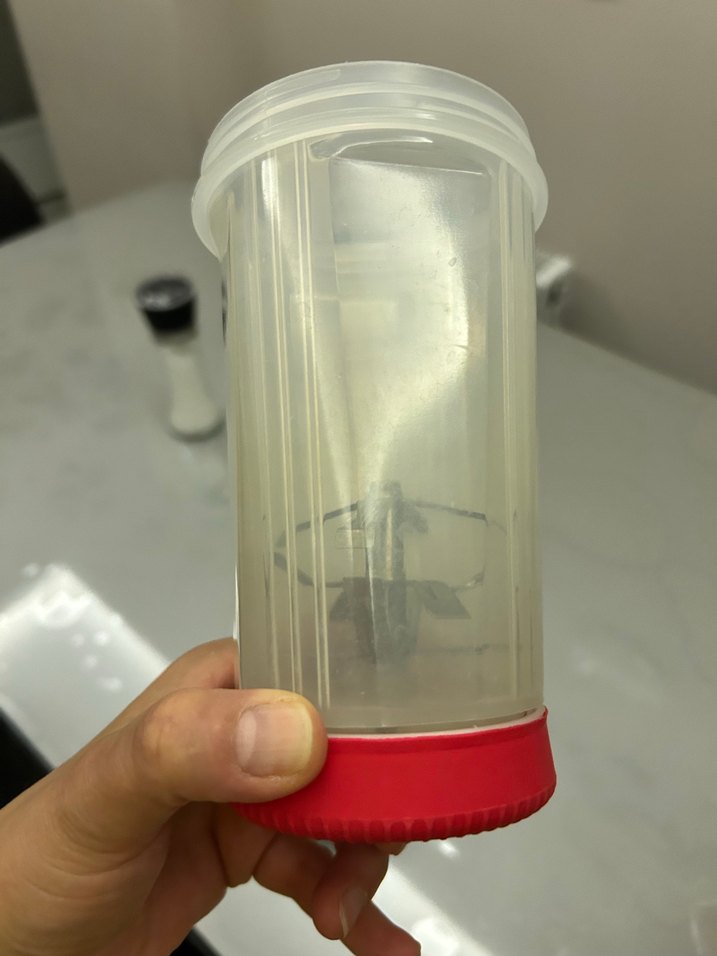 Shaket sporcu içeçeği bardağı karıstırıcı - Görsel 5