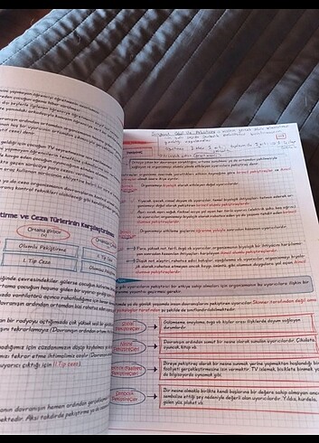  Beden Renk pegem tek kitap eğitim bilimleri