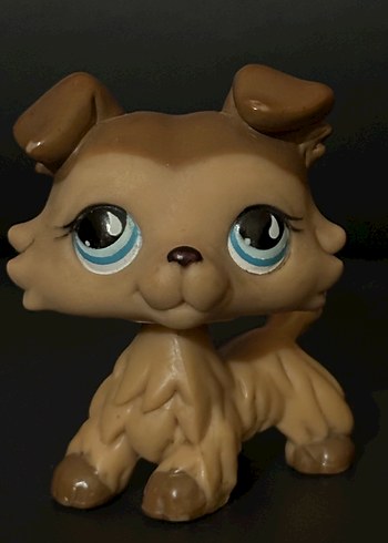 lps collie