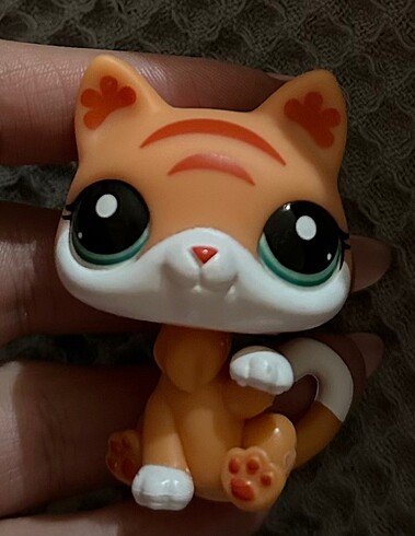  lps kedi miniş
