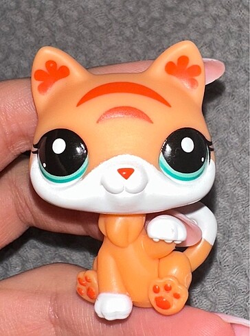 lps kedi miniş