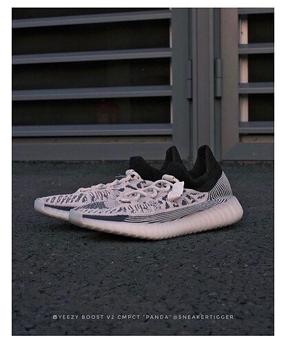 Adidas Yeezy Boost 350 V2 Cmpct