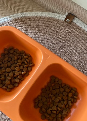 Çift Bölmeli Turuncu Kedi Maması Kabı - Görsel 2