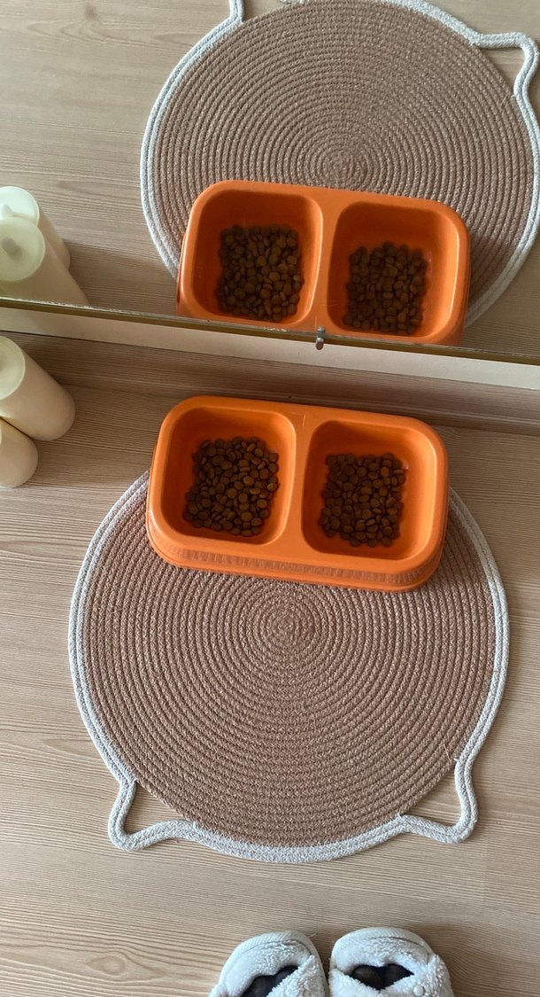 Çift Bölmeli Turuncu Kedi Maması Kabı - Görsel 3