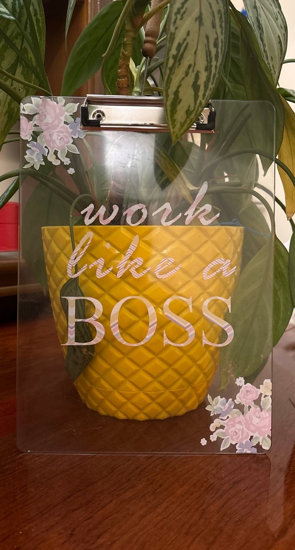 Şeffaf Boss Yazılı Sekreterlik - Görsel 2