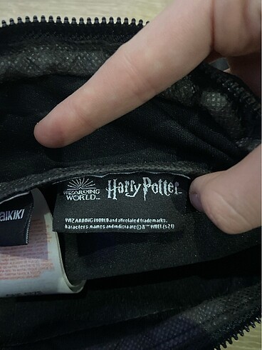 Beden harry potter canta