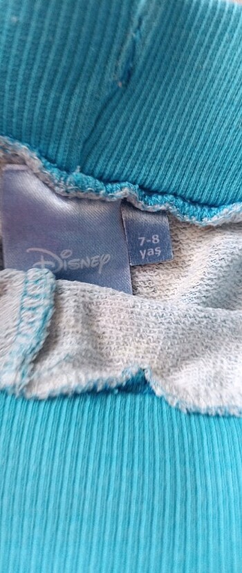 Walt Disney World Disney şort