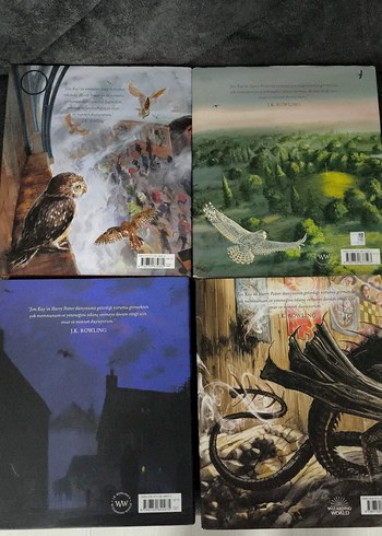 Harry Potter Resimli Özel Baskı 4 Kitap Seti - J.K. Rowling