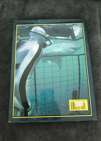 Cousteau'nun Büyük Beyaz Köpekbalığı Kitabı - Görsel 2